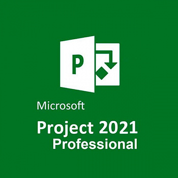 Microsoft Project Professional 2021 картинка №22256
