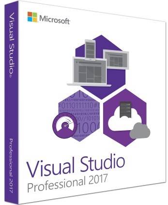 download microsoft visual studio professional with msdn