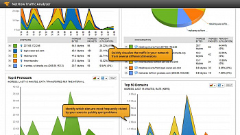 SolarWinds NetFlow Traffic Analyzer Module for SolarWinds Network Performance Monitor картинка №8034