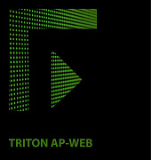 Forcepoint TRITON AP-WEB картинка №8780