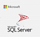 Microsoft SQL Server Enterprise Core картинка №24401