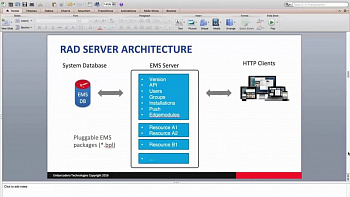 Embarcadero RAD Server картинка №9541