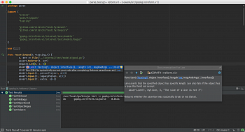JetBrains GoLand картинка №10831