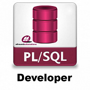 Allround Automations PL/SQL Developer картинка №10492