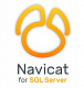 Navicat for SQL Server картинка №13070