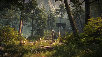 The Forest (PC) картинка №25556