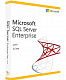 SQL Server Enterprise - 2 Core License Pack (подписка на 3 года) картинка №22001