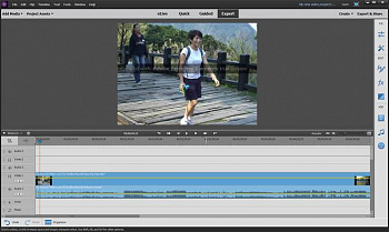 Adobe Premiere Elements картинка №6247