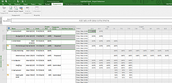 Microsoft Project Professional 2019 (ЕЛЕКТРОННА ЛІЦЕНЗІЯ) картинка №13831