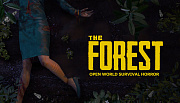The Forest (PC) картинка №25554