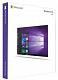 Microsoft Windows 10 Professional (USB P2) картинка №3583