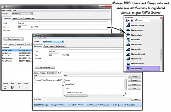 Embarcadero RAD Server картинка №9542