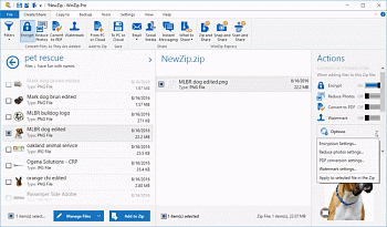 Corel WinZip картинка №9741