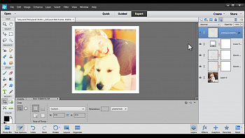 Adobe Photoshop Elements картинка №6254