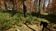 Sons Of The Forest (PC) картинка №25534