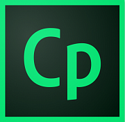 Adobe Captivate картинка №10240