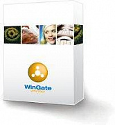 WinGate VPN картинка №13369