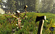 The Forest (PC) картинка №25557