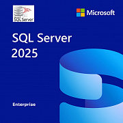Microsoft SQL Server Enterprise 2025 картинка №26023
