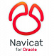 Navicat for Oracle картинка №13071