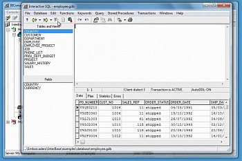 Embarcadero InterBase картинка №3734