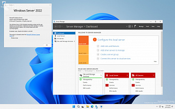 Windows Server 2022 Standard Subscriptions картинка №24292