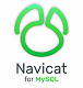 Navicat for MySQL картинка №13068