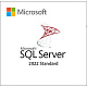 Microsoft SQL Server Standard 2022 картинка №23235