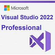 Microsoft Visual Studio Professional 2022 картинка №22170