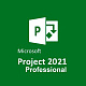 Microsoft Project Professional 2021 картинка №22256