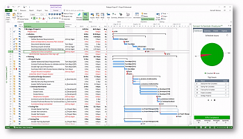 Microsoft Project Professional 2019 (ЕЛЕКТРОННА ЛІЦЕНЗІЯ) картинка №13832