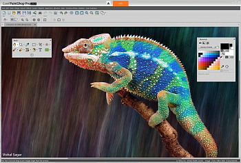 Corel PaintShop Pro картинка №13089